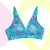 ocean_bra_.webp