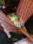 Paloma_www_okladka_10Lifestyle_VitaminDClassic.jpg